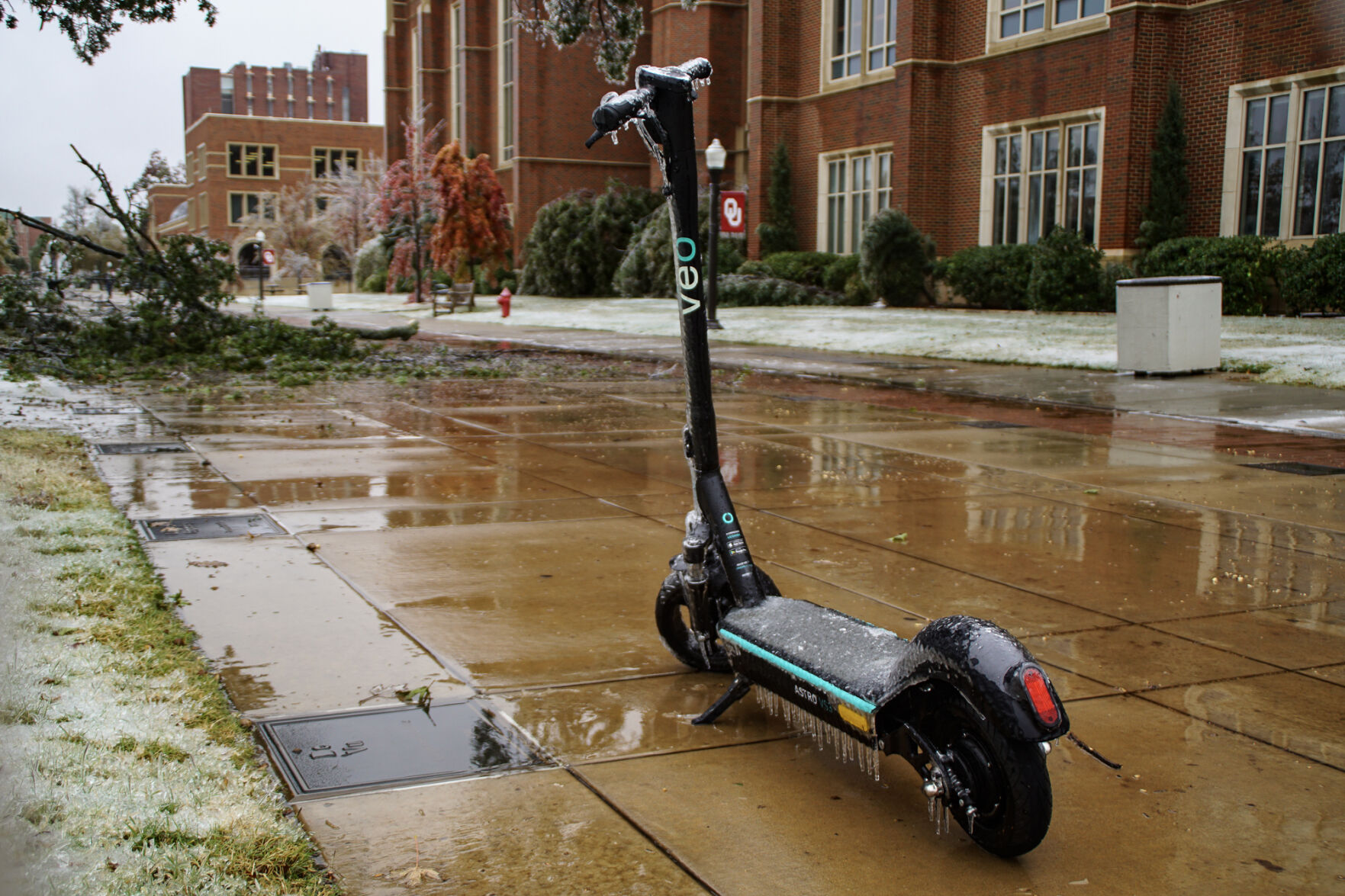 Veoride scooter